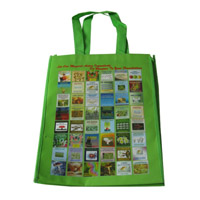 株洲LB11覆膜无纺布广告袋